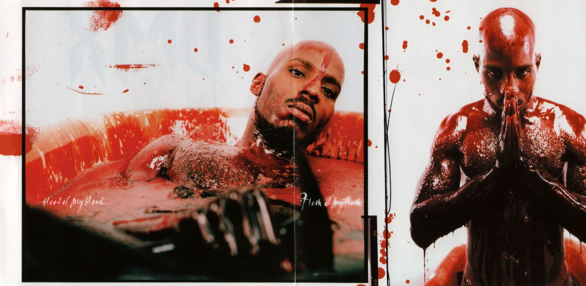 Cover de Flesh Of My Flesh, Blood Of My Blood de DMX