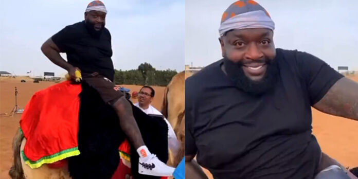 Rick Ross sur le dos d'un chameau